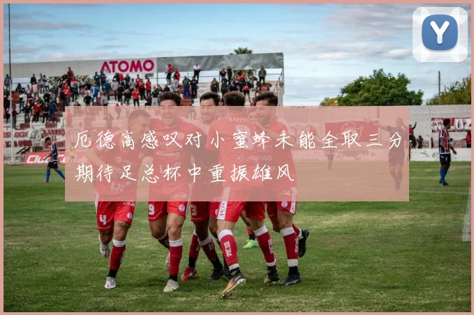 厄德高感叹对小蜜蜂未能全取三分期待足总杯中重振雄风
